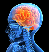 Biodynamic Cranial Sacral Therapy